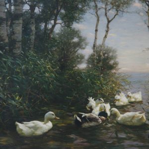 Koester, Alexander: Bodensee, Lake Constance, landscape with ducks