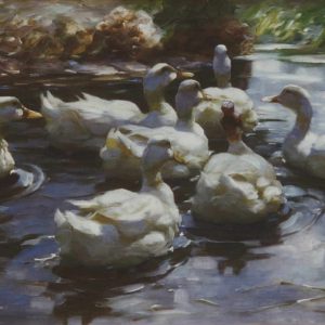 Koester, Alexander: Pulling ducks