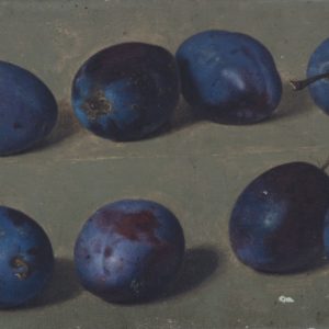 Preyer, Johann Wilhelm: Eight plums in two rows