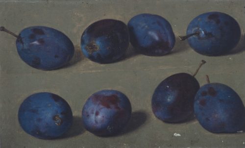 Preyer, Johann Wilhelm: Eight plums in two rows