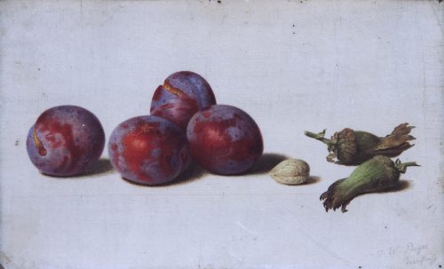 Preyer, Johann Wilhelm: Four plums, three hazelnuts