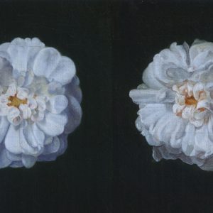 Preyer, Johann Wilhelm: Two white roses, 1830