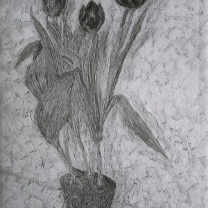 Walter Ophey: Tulpen im Topf