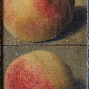 Johann Wilhelm Preyer: Zwei Pfirsiche, 1836