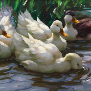Alexander Koester: Enten