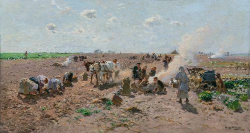 Mühlig, Hugo: Potato harvest